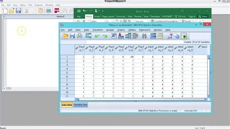 mplus statistics.